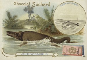 Ictiosaurio y delfín común de European School