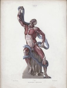 Ilustración de Laocoonte de European School