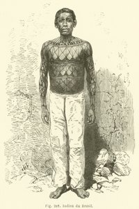 Indio de Brasil de European School