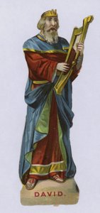 Rey David de European School