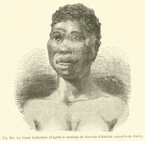 La Venus hotentote, según el molde del Museo de Historia Natural de París (grabado) de European School