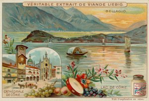 Lago Como de European School