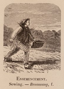 Vocabulario Ilustrativo: Siembra; Siembra; Besamung (grabado) de European School