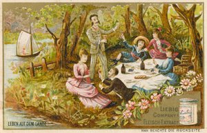 Vida en el campo