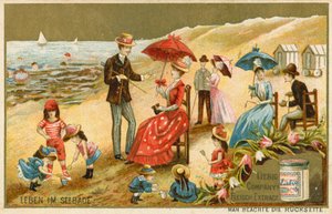 Vida en la costa de European School
