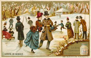 Vida en invierno de European School