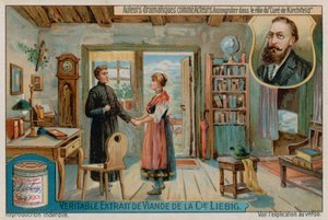 Ludwig Anzengruber en El párroco de Kirchfeld