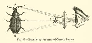 Propiedad de Magnificación de Lentes Convexas de European School