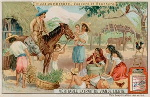Rancheros y vaqueros mexicanos