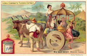 Carro mexicano de European School