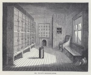 Sala de cría del Sr. Young