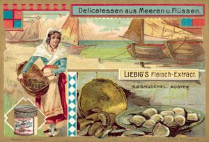 Mejillones y ostras de European School
