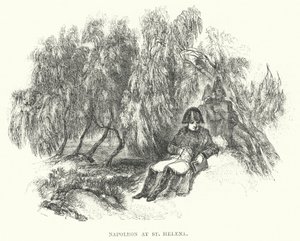 Napoleón en Santa Elena de European School