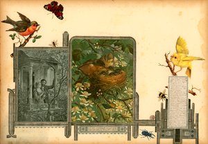 Página del volumen I de Sammelsurium (material impreso)