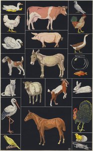 Página del libro infantil ilustrado Animales (litografía en color) de European School