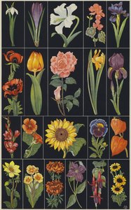 Página del libro ilustrado infantil Flowers (litografía en color) de European School