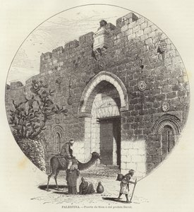 Palestina, Puerta de Sion o del profeta David de European School
