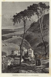Palestina, Vertientes del Líbano y aldea maronita de European School