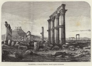 Vista de Palmira desde la gran columnata