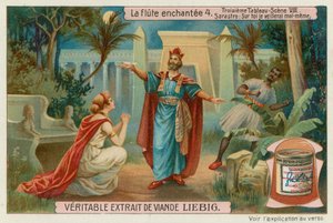 Pamina Ruega a Sarastro Que la Deje Ir de European School