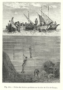 Pesca de ostras perleras en la costa de la isla de Ceilán de European School