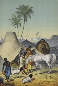 Personas, animales y plantas del norte de África y Arabia