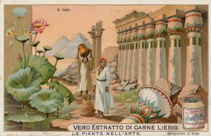 Plantas en el arte, tarjeta Liebig, principios del siglo XX (cromo) de European School
