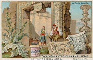 Plantas en el arte, tarjeta Liebig, principios del siglo XX (cromo) de European School