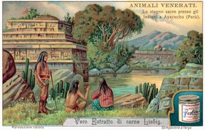 Piscina de peces sagrados en Ayacucho, Perú de European School