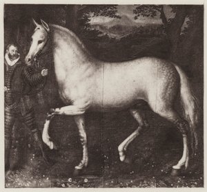 Caballo de la reina Isabel (lito) de European School