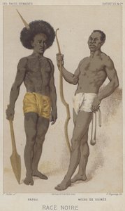 Raza negra, Papú, Negro de Guinea