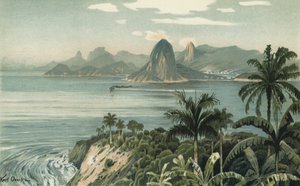 Río de Janeiro, Brasil de European School