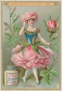 Niña flor de rosa