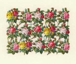 Rosas de European School