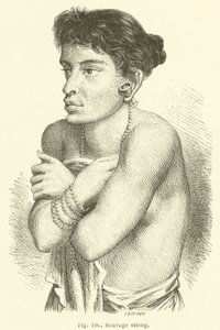Salvaje stieng de European School