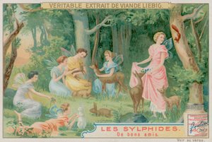 Sílfides y Animales del Bosque de European School