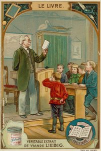El Libro del Alfabeto de European School