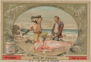 La muerte de Virginie