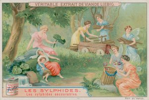 Las Sílfides Ayudantes de European School