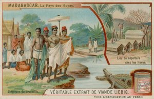 La tierra de los Hova: La prueba del cocodrilo y el lugar de entierro de los Hova de European School