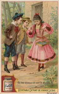 Los Pájaros Perdidos de European School