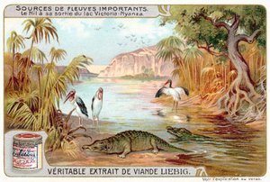 El Nilo al salir del Lago Victoria de European School
