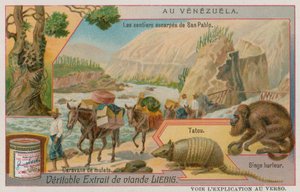 Los caminos empinados de San Pablo con un armadillo y un mono aullador y una caravana de mulas de European School