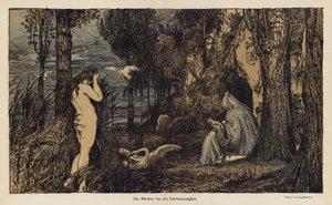 El cuento de la virgen cisne de European School