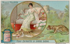 El tigre de European School
