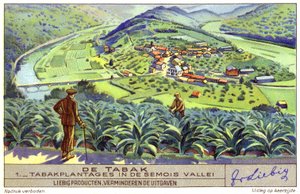 Plantación de tabaco en el valle del Semois, Bélgica (cromolito) de European School