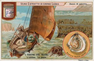 Tesoros del mar, tarjeta Liebig, principios del siglo XX (cromo)