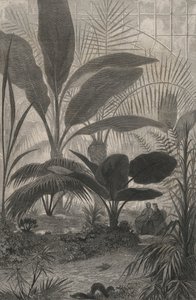 Un Jardín de Invierno de European School