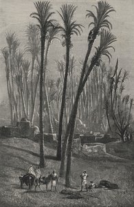 Un oasis en el Sahara (grabado)