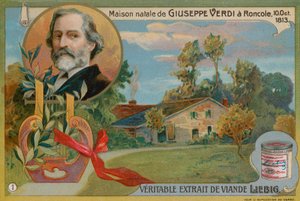 Lugar de nacimiento de Verdi en Roncole de European School